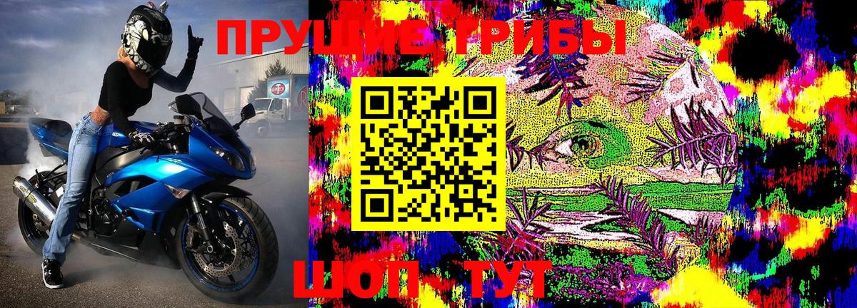 Братск  Псилоцибиновые грибы MAGIC MUSHROOMS  Вход с VPN 
